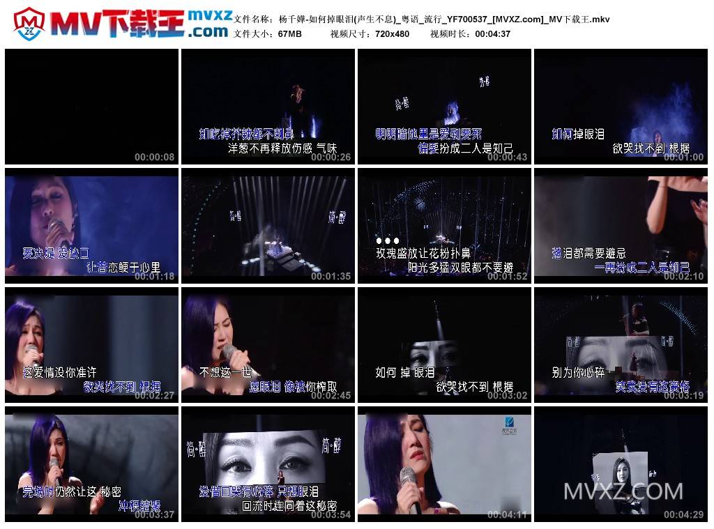 杨千嬅-如何掉眼泪(声生不息)_粤语_流行_YF700537